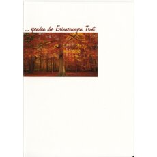 Trauerkarte Erinnerungen spenden Trost Herbstwald