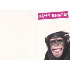 Geburtstagskarte Schon wieder Geburtstag Affe