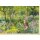 Kunstkarte Monets Garten in Giverny, 1900