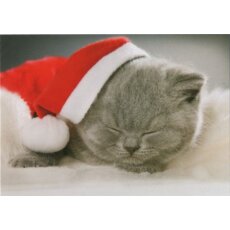 Weihnachtspostkarte schlafendes Kätzchen
