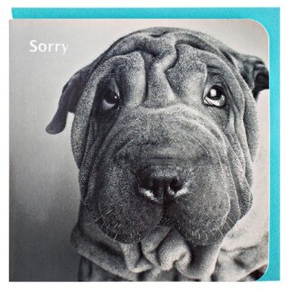 Grußkarte Sorry Entschuldigung Faltenhund SW