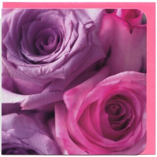 Grußkarte Rosenblüten pink lila