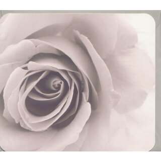 Grußkarte Rosenblüte SW