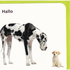 Grußkarte Hallo  Hunde-Freundschaft