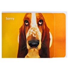 Grußkarte Sorry Entschuldigung Hund Basset A6