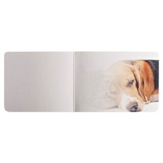 Grußkarte Friends Forever Beagle und Kätzchen Hund und Katze A6