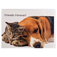 Grußkarte Friends Forever Beagle und Kätzchen...