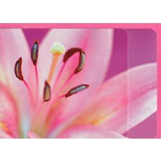 Grußkarte Lilie rosa A6