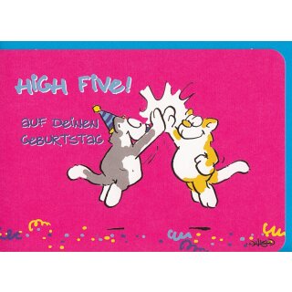 Geburtstagskarte High Five witzige Katzen A6