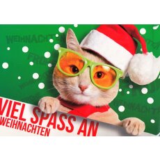 Weihnachtskarte Viel Spaß Katze mit Sonnenbrille A6