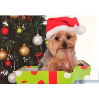 Weihnachtskarte Hund Yorkshire Terrier A6