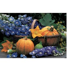 Grußkarte Herbst Früchtekorb Kürbis & Rittersporn