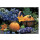 Grußkarte Herbst Früchtekorb Kürbis & Rittersporn