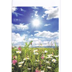 Grußkarte Blumenwiese im Sonnenschein