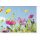 Grußkarte Sommerblumen-Wiese - Blick in strahlend blauen Himmel