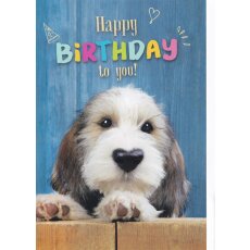 A4 XXL Geburtstagskarte lustiger Hund