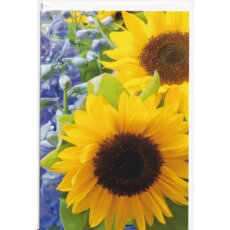 Grußkarte Sonnenblumen und Rittersporn