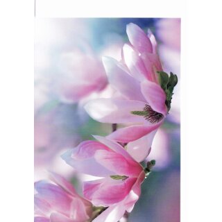 Grußkarte Magnolien