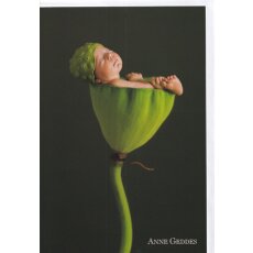 Grußkarte Baby im Blumenkelch Anne Geddes