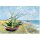 Kunstkarte van Gogh Boote am Strand von Saintes-Maries
